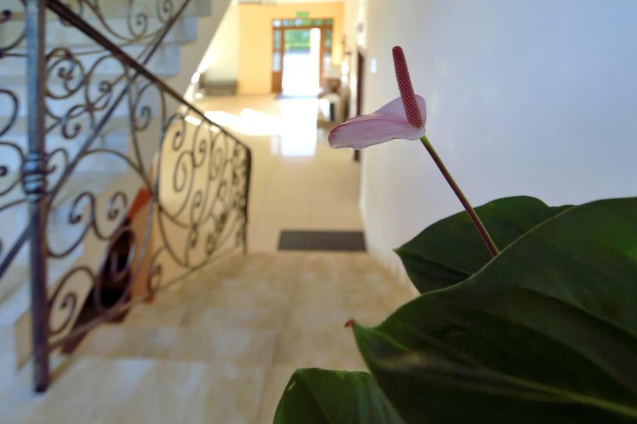 Villa Szelega โปเบียโรโว ภายนอก รูปภาพ